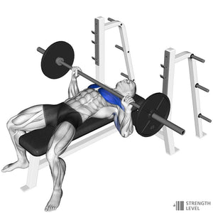 Bench Press 101