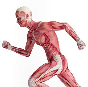 Top Reasons Why You Aren't Building Muscle